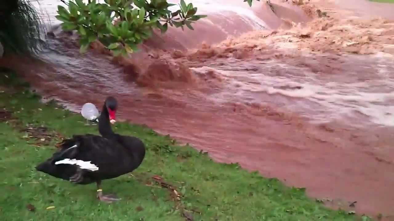 Flooding in Dawlish - 05/08/12