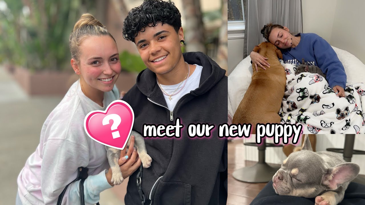 WE GOT A NEW PUPPY!!!