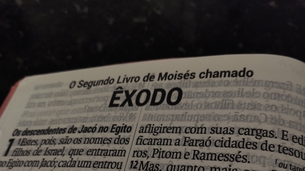 Leitura Anual da Bíblia: Êxodo 33-35
