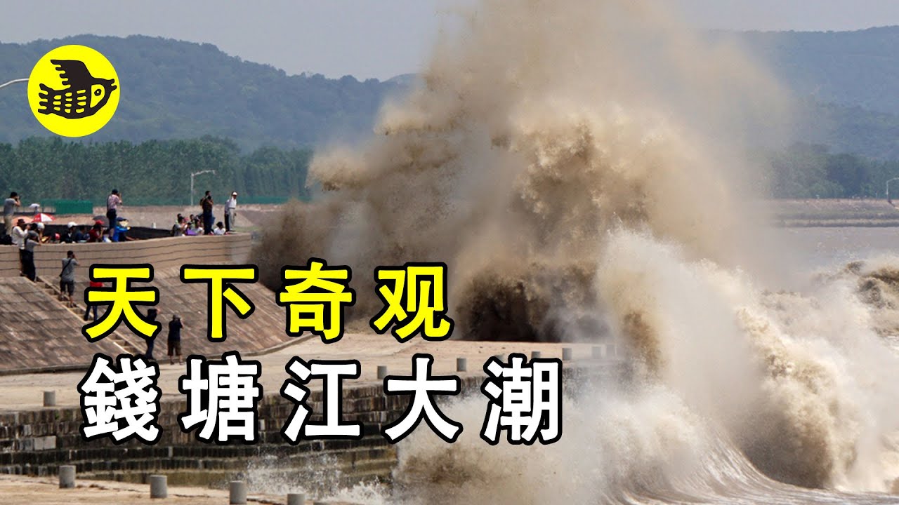 天下奇觀 錢塘江大潮，絲滑如巧克力......|醒鳥