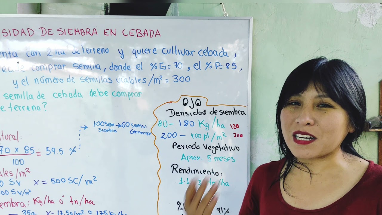 DENSIDAD DE SIEMBRA EN CEBADA