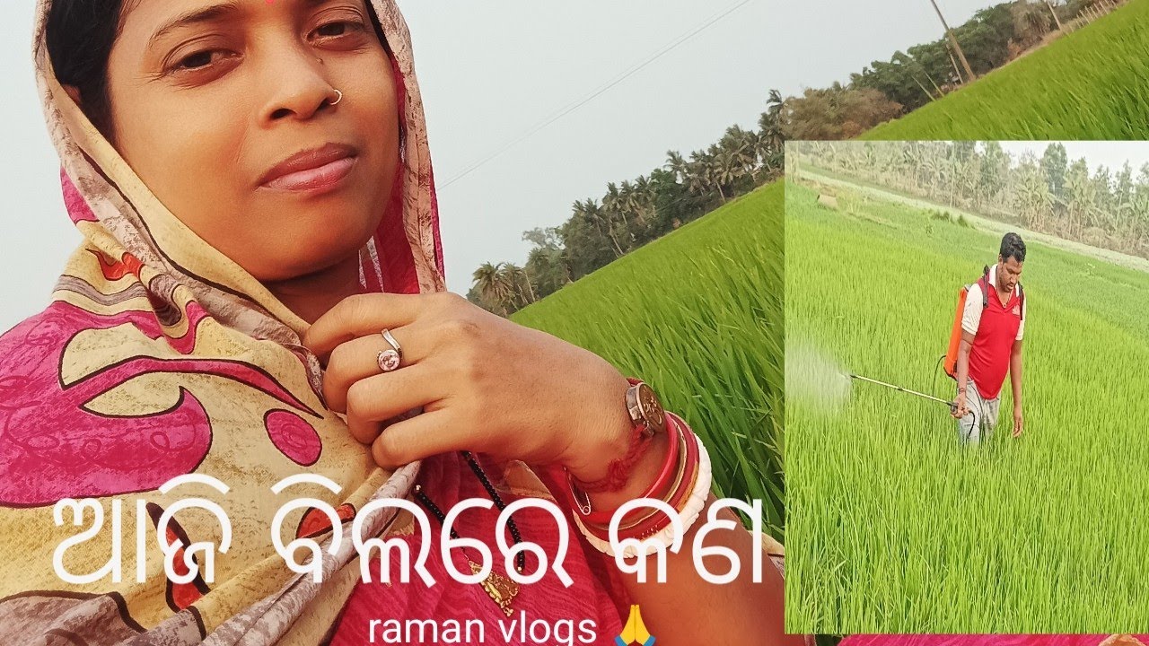 ଆଜି ବିଲରେ କଣ//raman vlogs