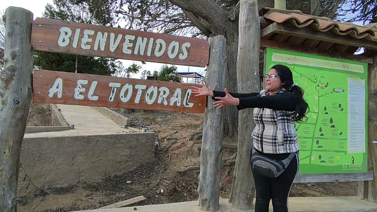 QUE VER EN EL TOTORAL