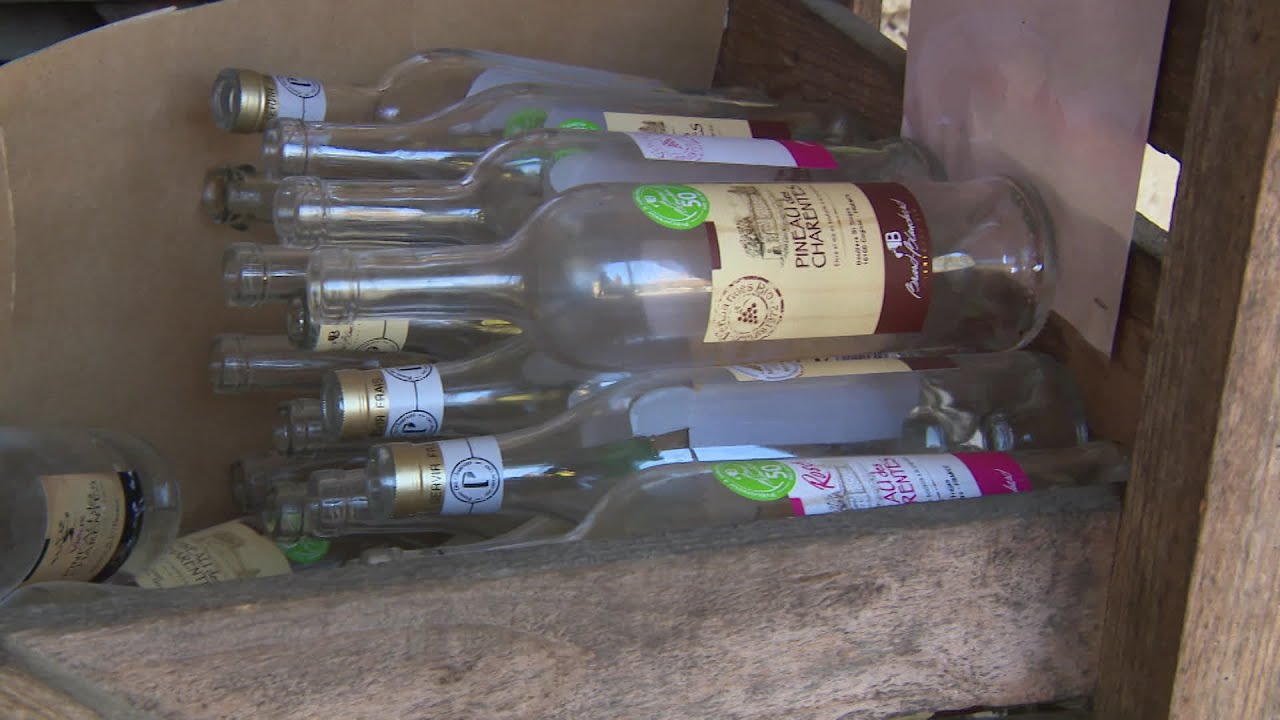 Environnement : la bouteille en verre nettoyée et réutilisée à Cognac