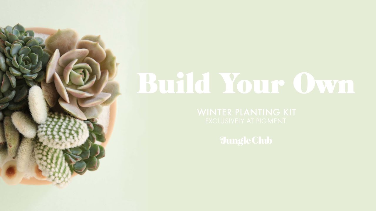 Jungle Club:  Winter Planting Kit