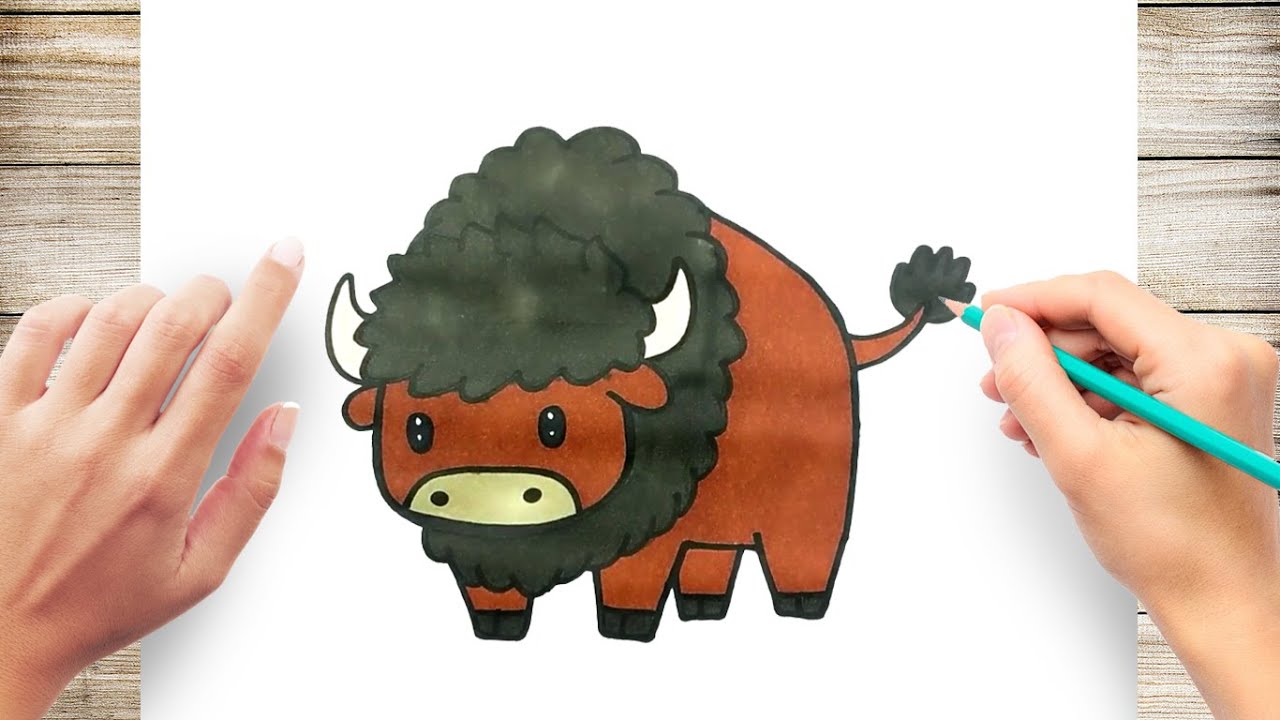 How To Draw Cute Bison Easy