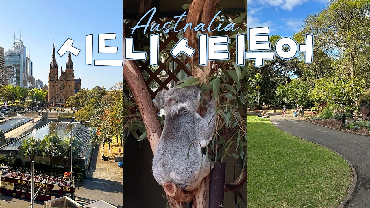 나홀로 시드니 5박 6일 | 시드니 박물관, 아트 갤러리, 세인트 메리 대성당, 더 포드 시드니 [🇦🇺호주 EP.1]