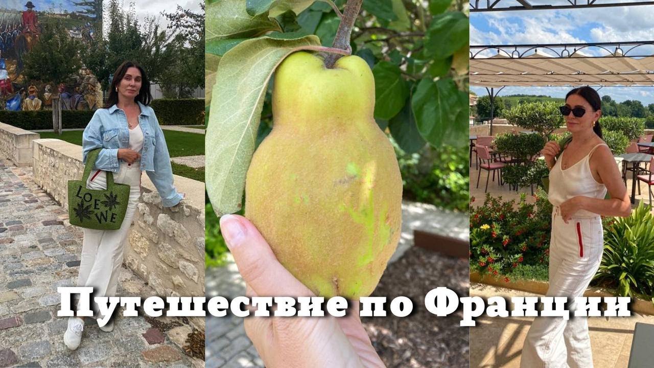 Путешествие по Франции| Шато, Вино и Рестораны| Интересные Города и Достопримечательности