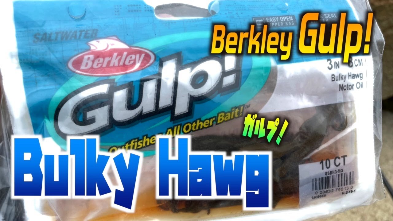 Berkley Gulp Bulky Hawg for Jetty Fishing – It Stinks, But It Works