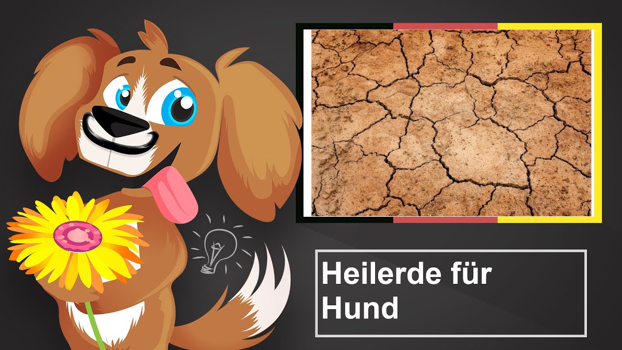 🐶 Heilerde für Hunde – Dosierung und Anwendung