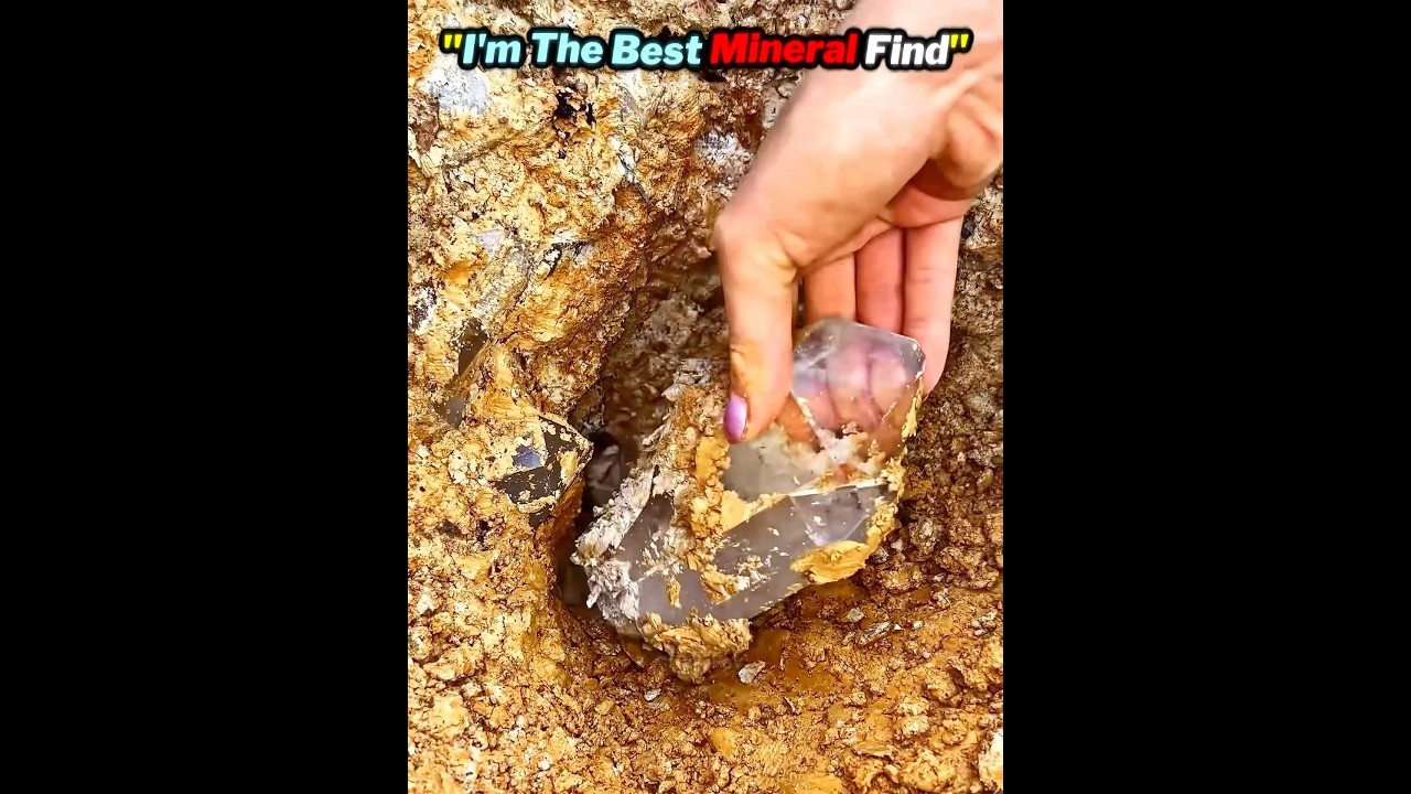Best Mineral Finds 💎✨