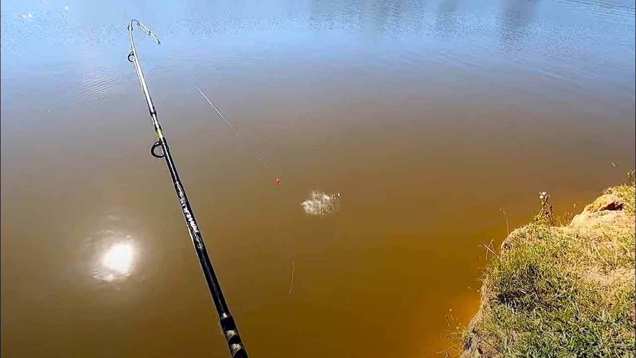 It's all happening, fishing at Allans Flat Waterhole part 2