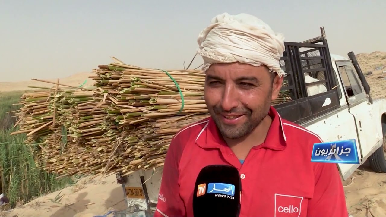 جزائريون .. تربية أسماك الأحواض