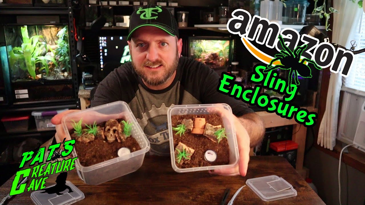 Amazon tarantula sling enclosures, Are they any good?