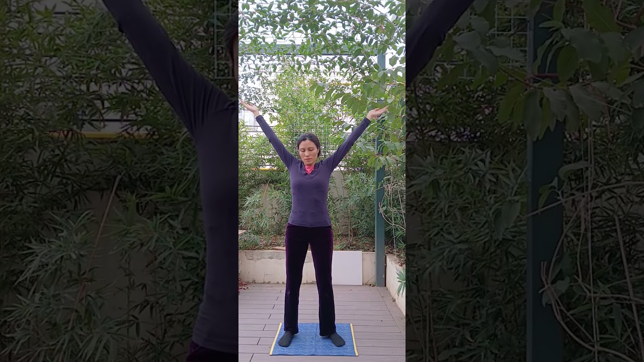 Bài Công Pháp Thứ Ba - Luyện Pháp Luân Công - Nhạc phiên dịch tiếng Việt