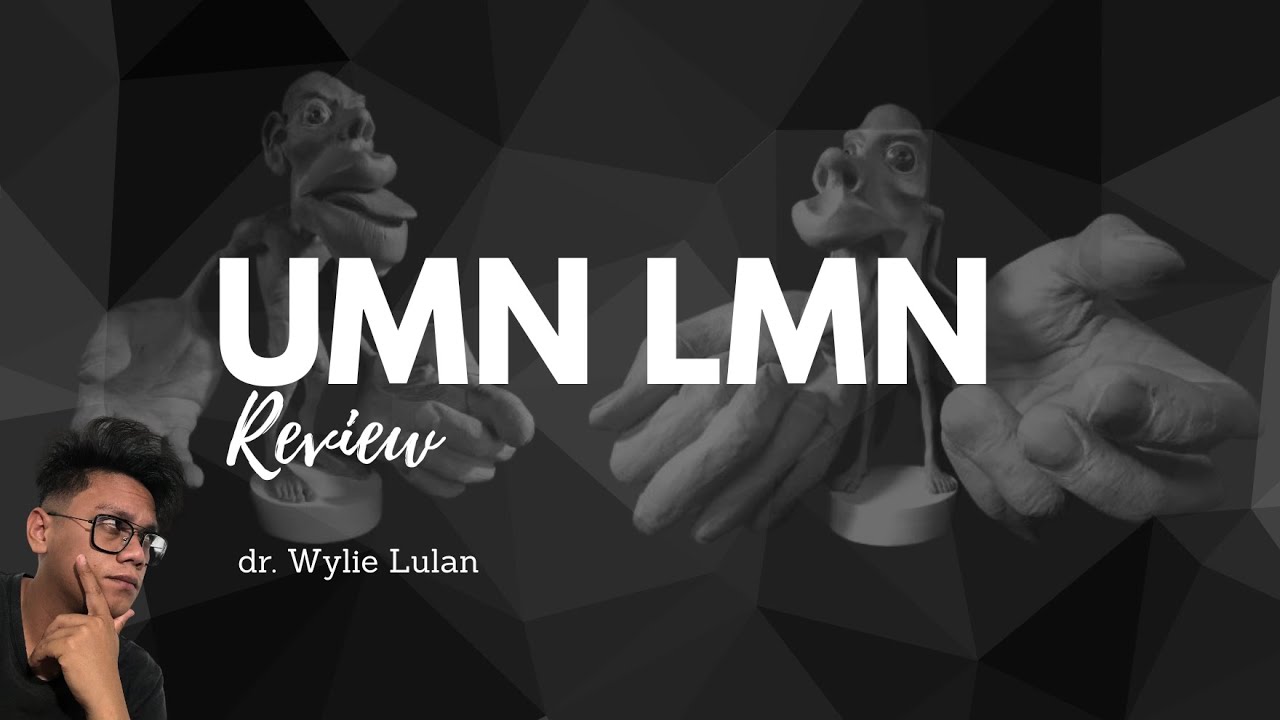 Review Sistem UMN dan LMN