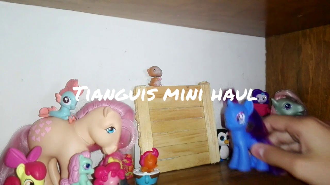 Tianguis mini haul