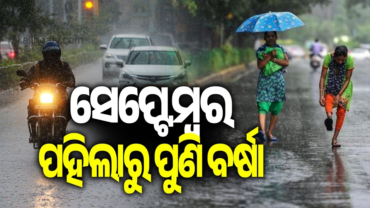 IMD Issues Yellow Alert for 17 Odisha Districts; Orange Warning for Bargarh || Kalinga TV