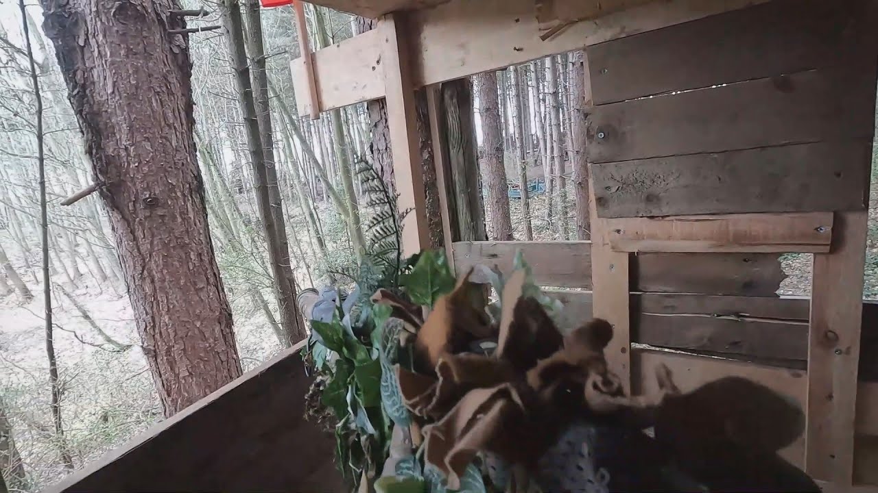 There's always a sniper in the tower... - AMS No Mans Land