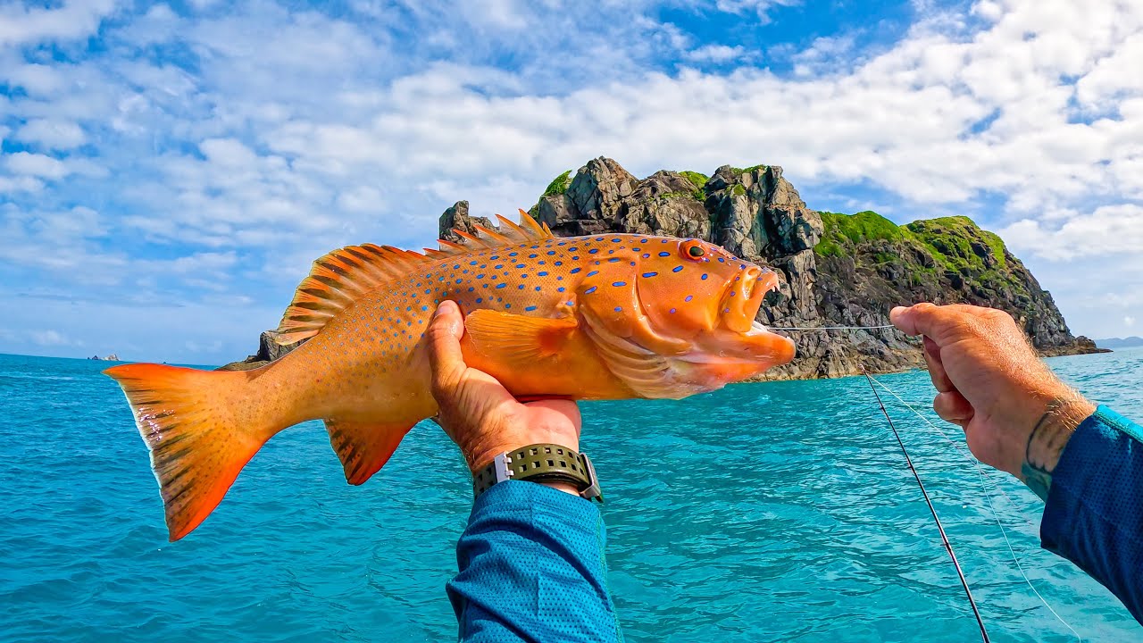 Fishing 6m Tides in an Island Paradise!!
