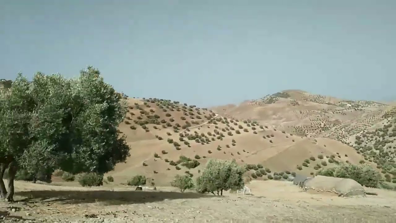 جولة رائعة في احدى البوادي التابعة لجهة تازة .دُوَّارالعمال (أولاد الشريف)