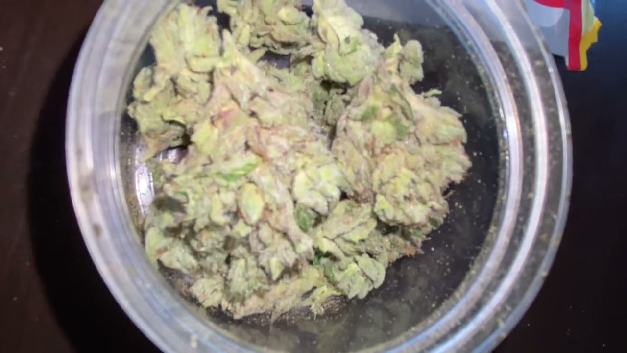 34% This strain was Insane (Sour Power OG) S/o@kushcompany1082  & @officialbackpackboyz