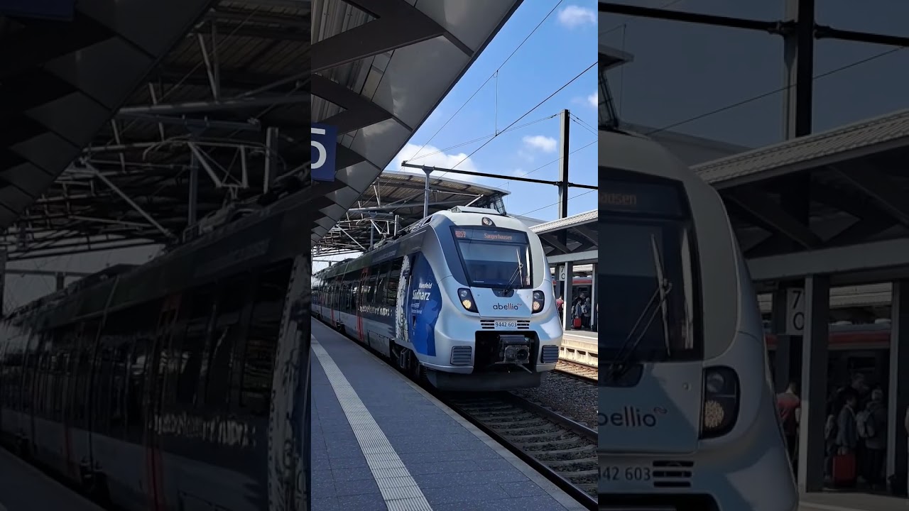 9442 603 als RB59 nach Sangerhausen