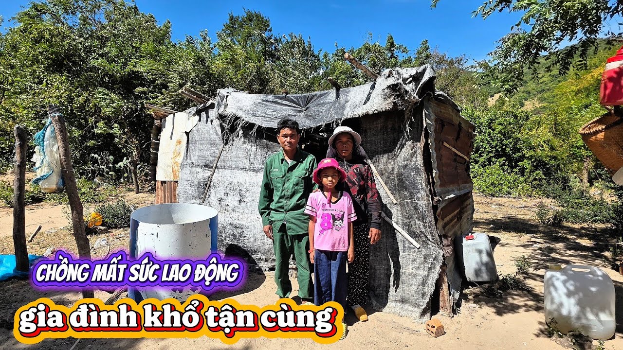 Gia đình NGHÈO CHẶT CỦI CHĂN CỪU MƯỚN kiếm cơm qua ngày || 514