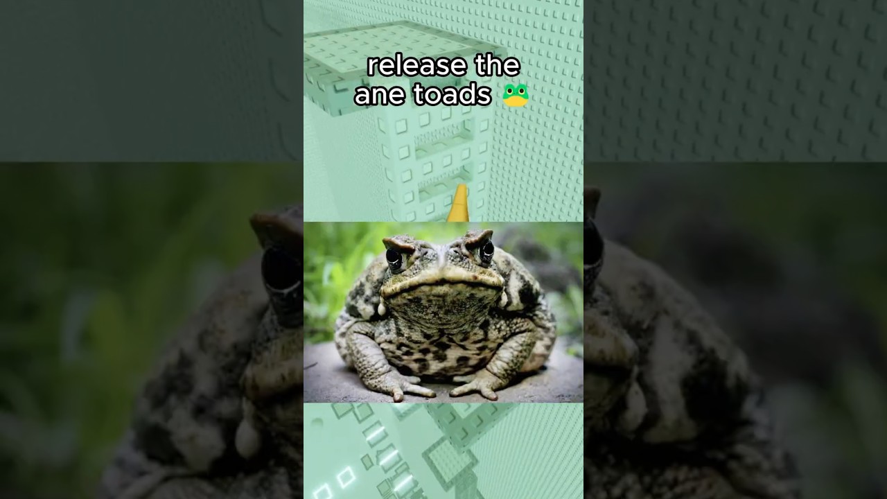 CAN WE TALK ABOUT THE TOAD INCIDENT?? 💀  