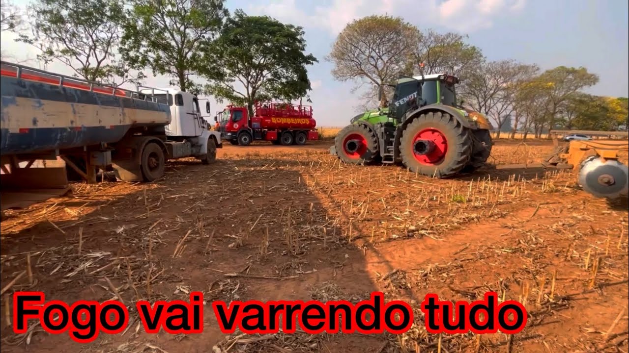Ep 247 Prejuízos ,várias cabeças de gado morto , MT n é brincadeira !!