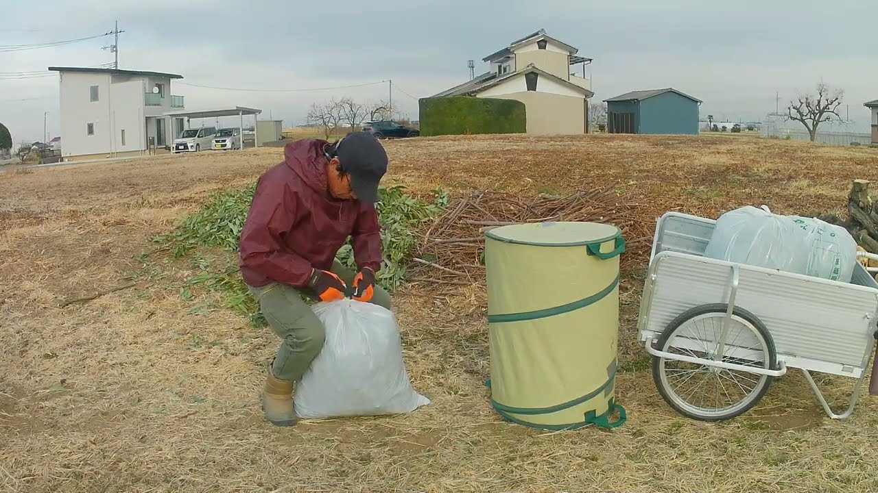2026.2.20 枝を、ひたすら地道に処分します。