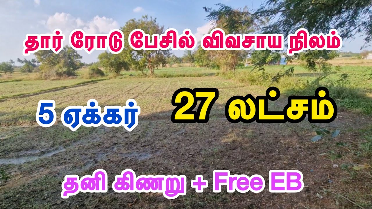 ID-1001 🌱குறைந்த விலையில் தார் ரோடு பேசில் விவசாய நிலம் #trending #realestate #farmland #viral 