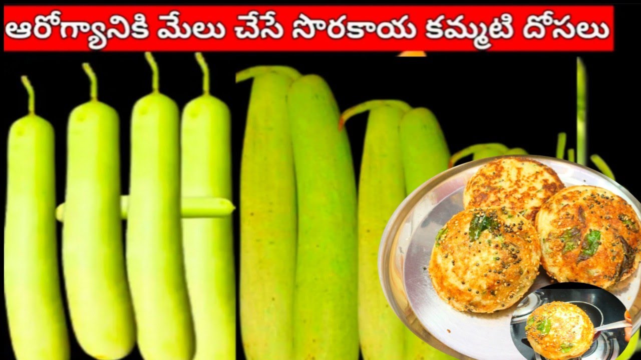 సొరకాయ తోని ఇలా బ్రేక్ఫాస్ట్ చేసుకోండి👉ఇంట్లో   వాళ్లందరికీ  నచ్చుతుంది bottlegourd Breakfast telugu