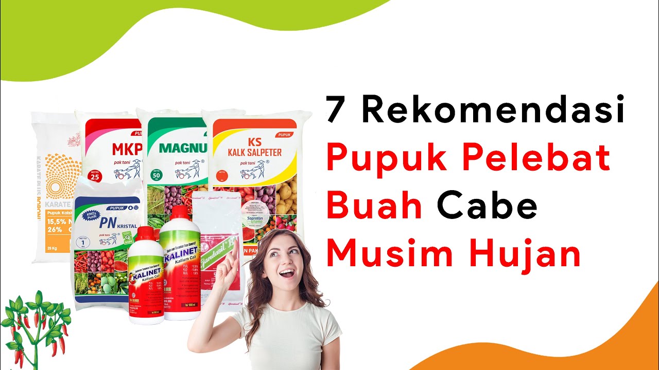 7 Pupuk Pelebat Buah Fase Generatif Cocok di Musim Hujan