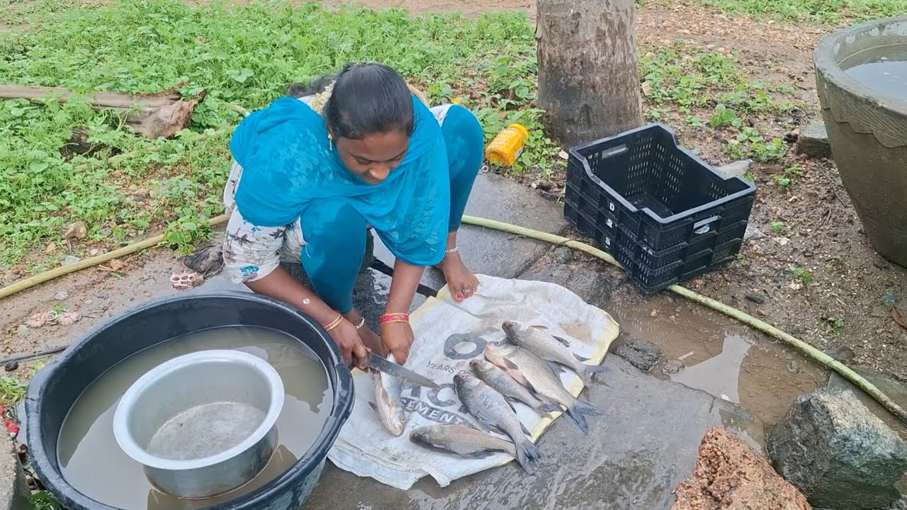 చాపల కూరను కూడా తల్ల తన్నే విధంగా పెద్ద వంకాయలు వేపుడు చేశానండి సూపర్ టేస్ట్