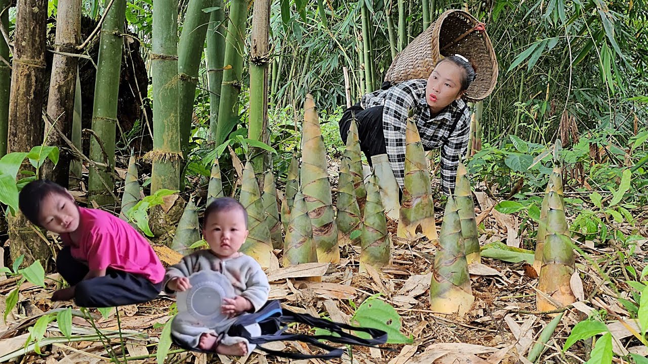 Poultry care, Harvesting bamboo shoots to sell at the market with my daughter | Tương Thị Mai