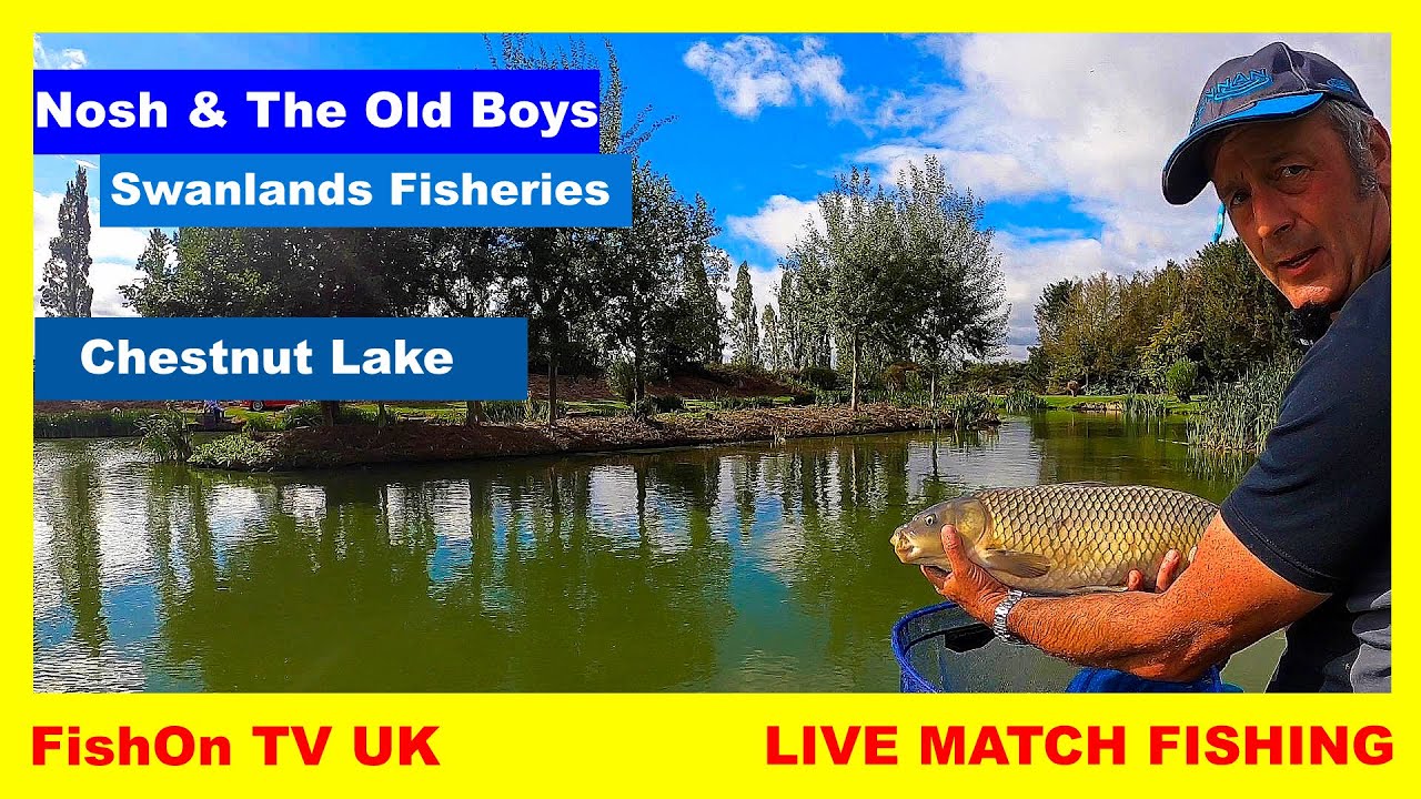 FishOn TV UK : LIVE MATCH FISHING : SWANLANDS FISHERIES : NOSH & THE OLD BOYS : 8th SEPT