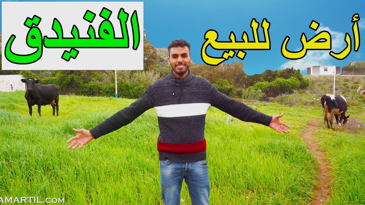 أرض للبيع في الفنيدق 3000 M² خندق الزيتون Terrain R+3 a vendre aCote de l'autoroute Fnideq VueSurMer