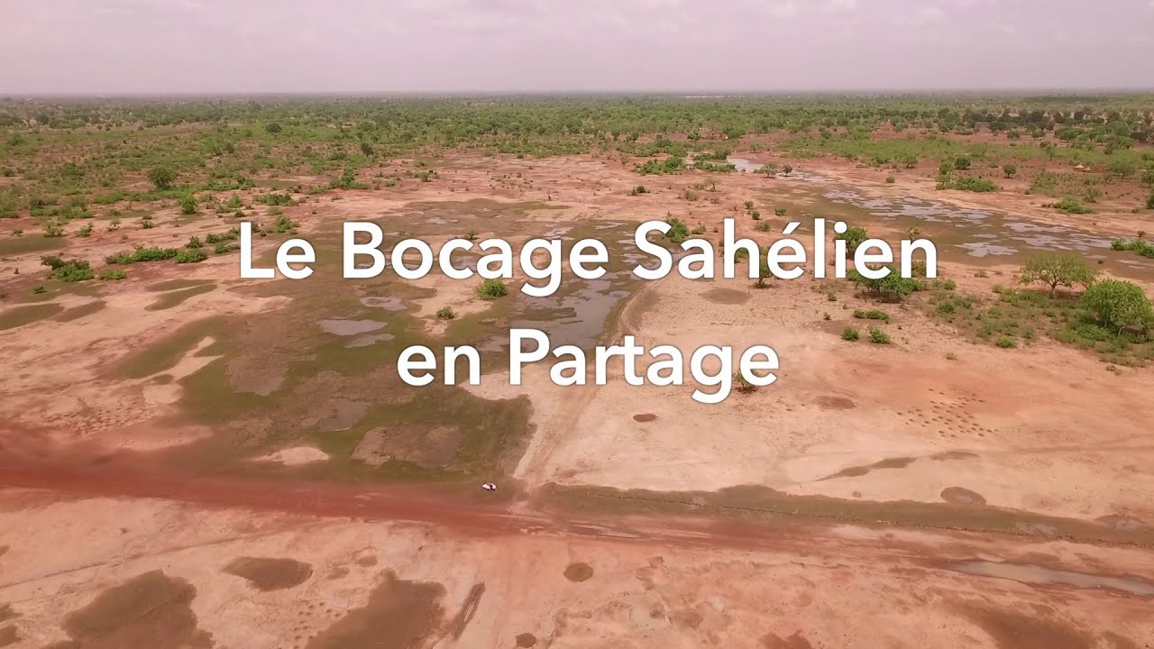 Le Bocage Sahélien en Partage