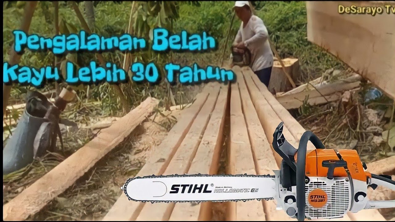 Cara Membelah Kayu Menggunakan Chainsaw Stihl MS 381