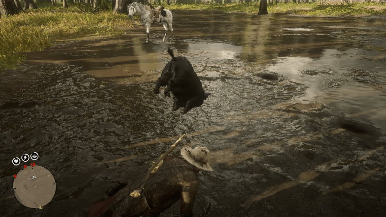RDR2 - random moments from my gameplay