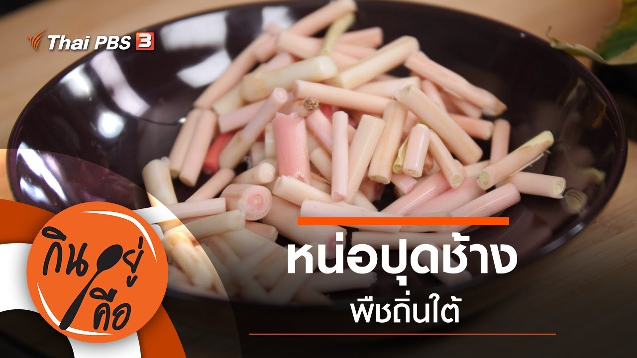 หน่อปุดช้างพืชถิ่นใต้ : กินอยู่คือ [CC]