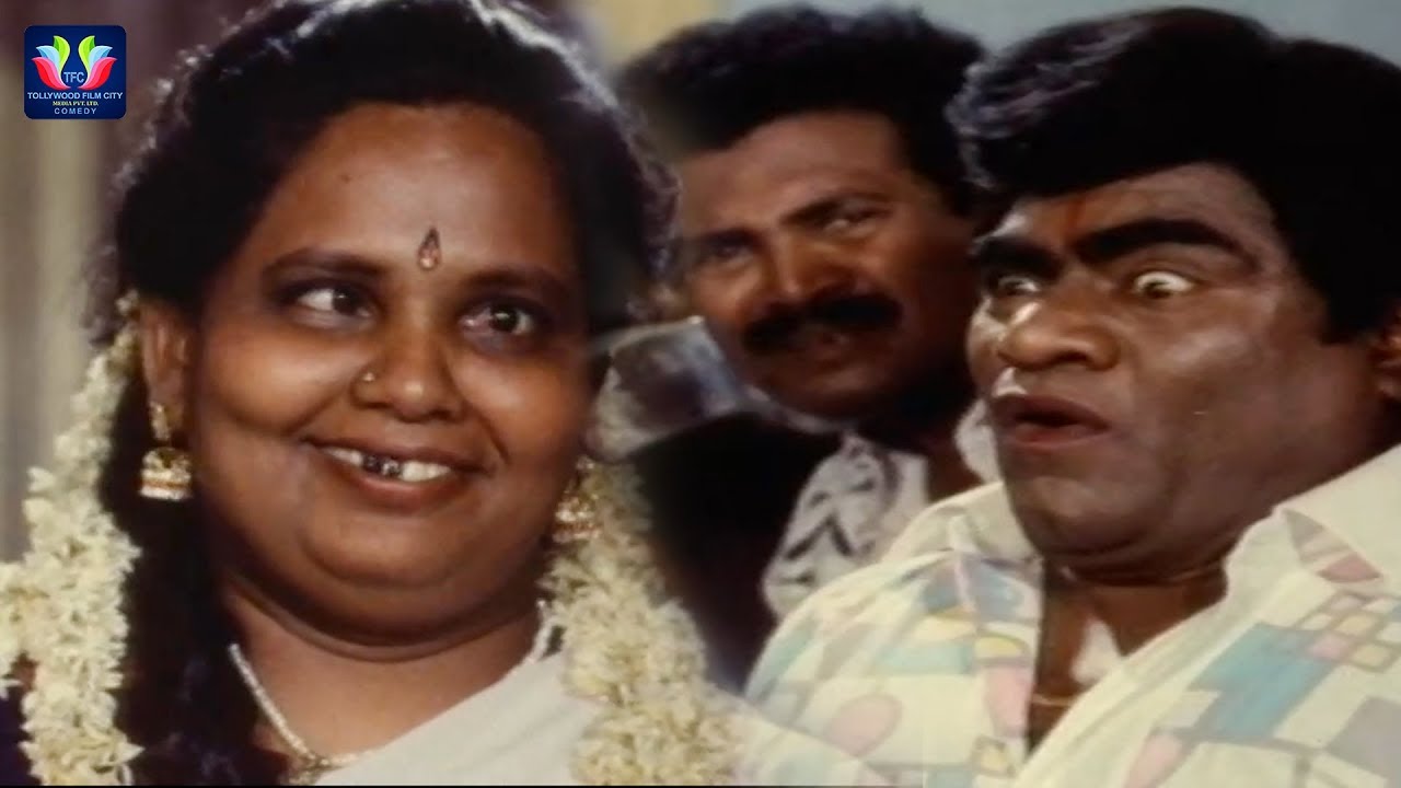 Hello Alludu Movie Funny Comedy Scene || Latest Telugu Comedy Scenes || TFC Comedy