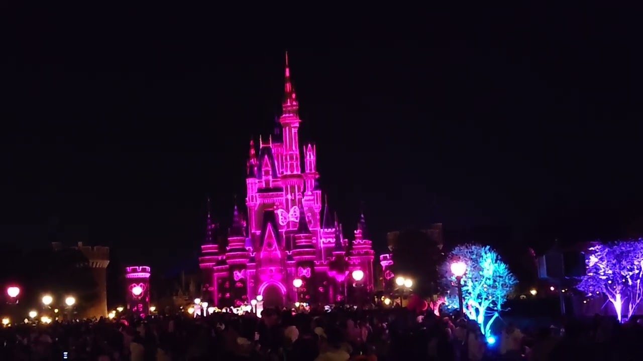 2026/01/19  東京ディズニーランド  ミニーのファンダーナイト