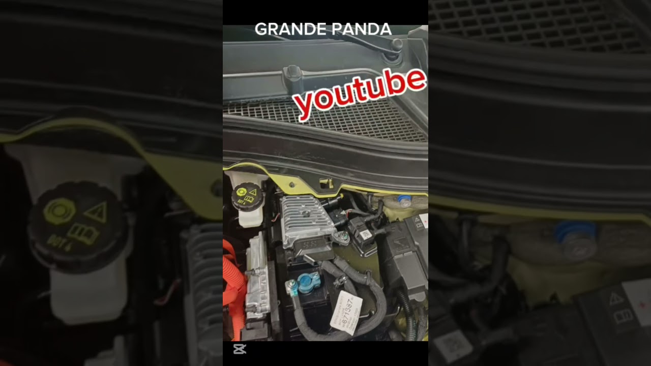 FIAT GRANDE PANDA ELETTRICA MOTORE DA 83 kW (113 CW)