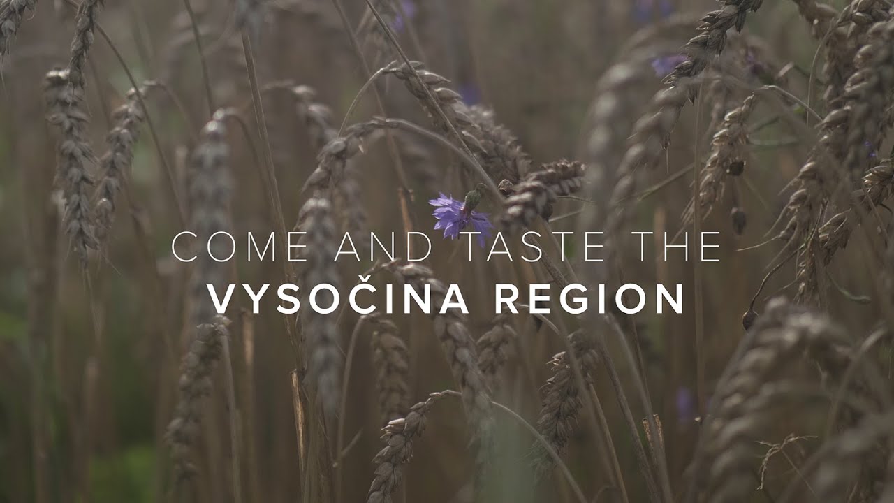 TASTE OF VYSOCINA