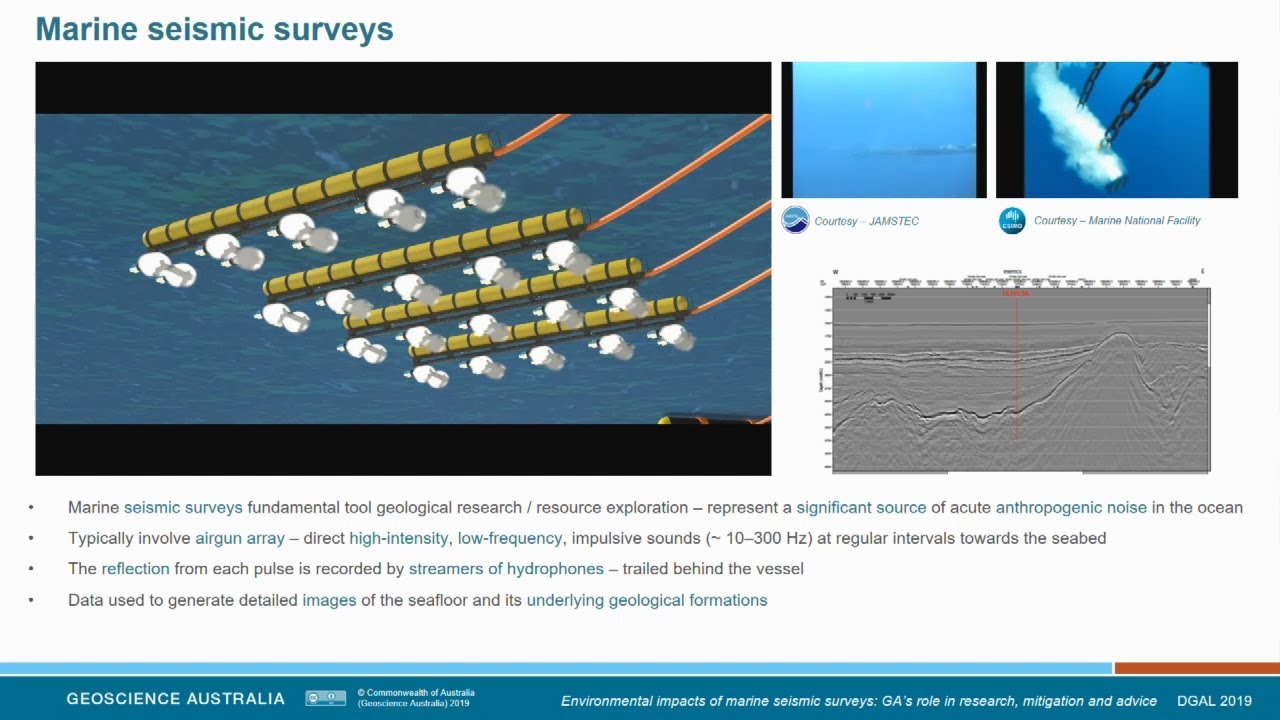 Environmental Impacts of Marine Seismic Surveys