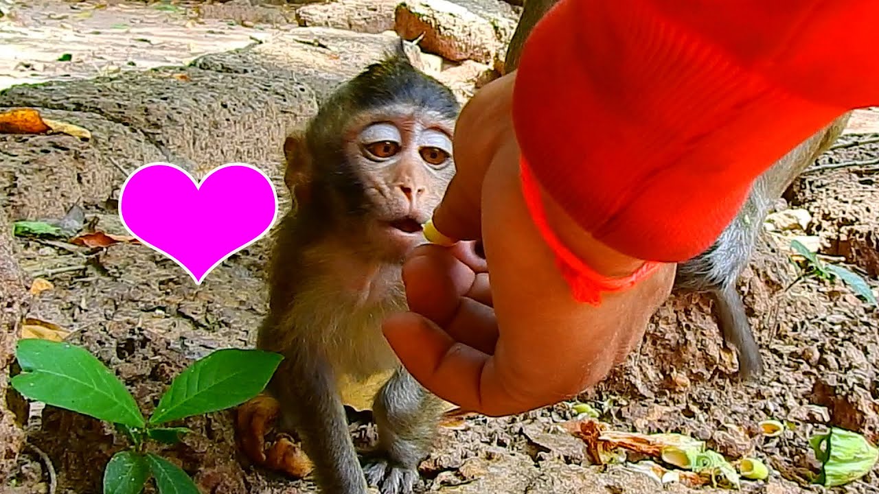 Love Is From Mine By Daddy To Small Baby