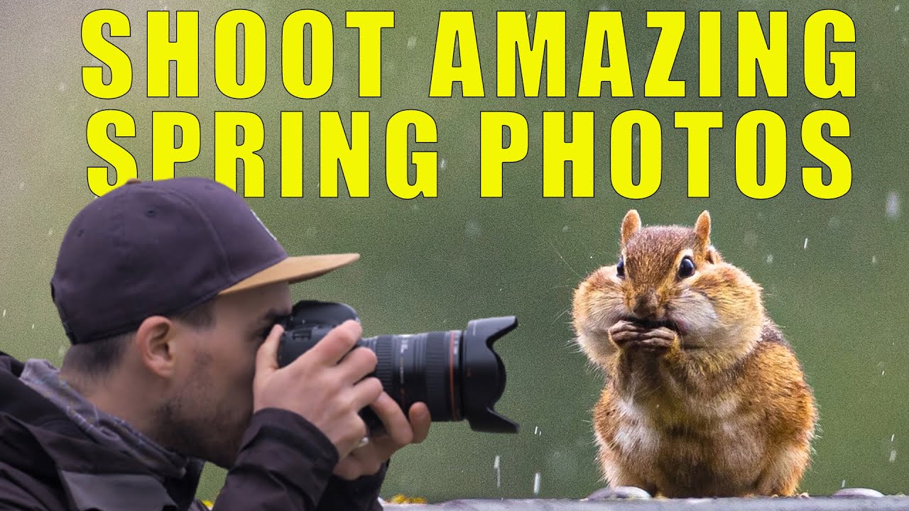 Tips for AMAZING spring photos no matter what the weather