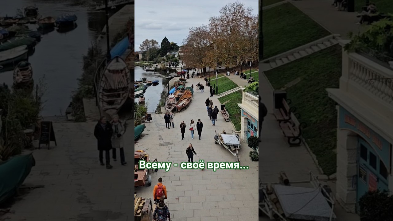 Всему - своё время... #психология #личность #отношения #социальнаяпсихология #мотивация